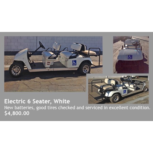 Electric 6 Seater $4,800.00