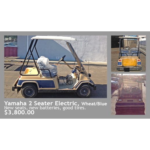 Yamaha 2 Seater Electric